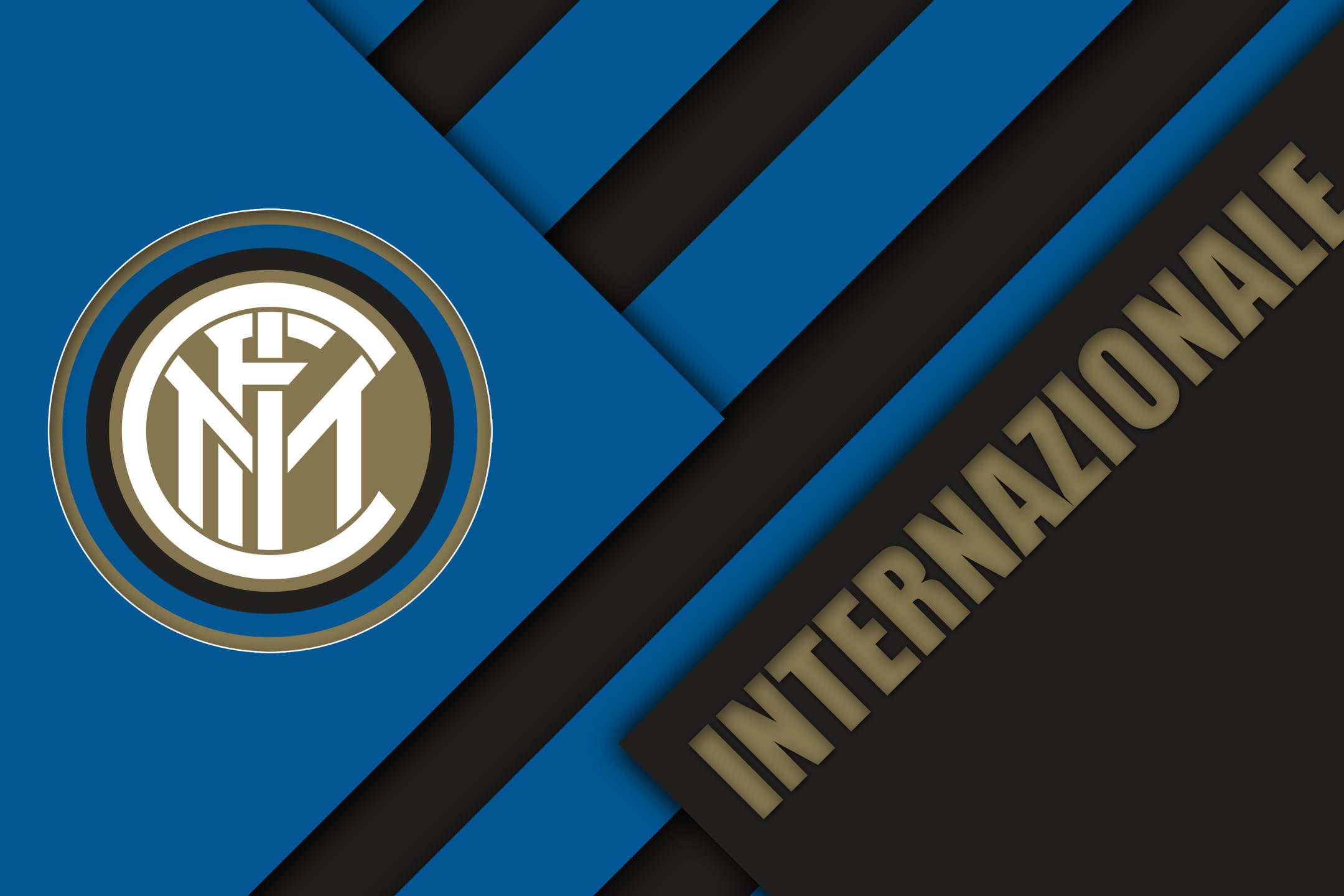 规定动作 规定动作